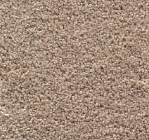 Ковролин AW Devotion 34 фото 1 | FLOORDEALER